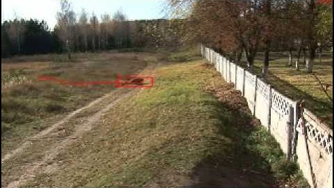 Perimeter Intrusion Detection