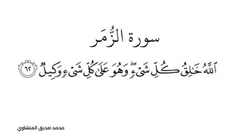 سورة الزمر من الآية 61 حتى الآية 64 محمد صديق المنشاوي