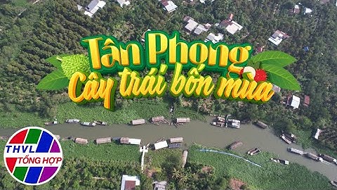 Nhịp sống đồng bằng: Tân Phong cây trái bốn mùa