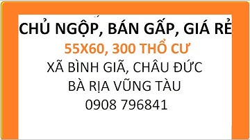 CHỦ NGỘP, BÁN GẤP, GIÁ RẺ TẠI XÃ BÌNH GIÃ, CHÂU ĐỨC, BÀ RỊA VŨNG TÀU. 55X60,300