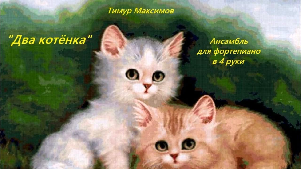 Два котенка иллюстрация. Финская художница anna hollerer. 2 котенка нарисованных. 2 котенка нарисованных. Debbie cook картины.