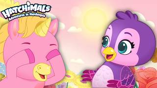 30 Minutes of Adventures in Hatchtopia! ✨ | Compilation | Hatchimals Cartoon
