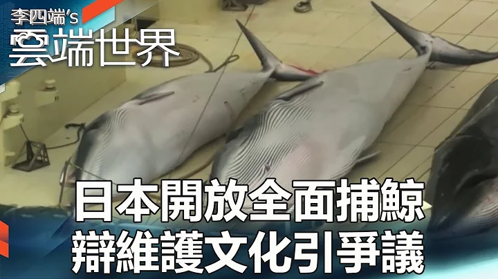 日本開放全面捕鯨 辯維護文化引爭議 - 李四端的雲端世界 - 天天要聞