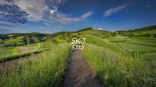 ST12 - SKJ (Lirik Video)