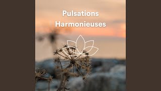 Pulsations Harmonieuses Musique Relaxante