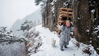 "새벽마다 집채만한 나무를 진 아이, 동자승이 매일 눈길을 오른 이유. 몰래 뒤를 밟은 스님들은 모두 눈물을 흘렸다."