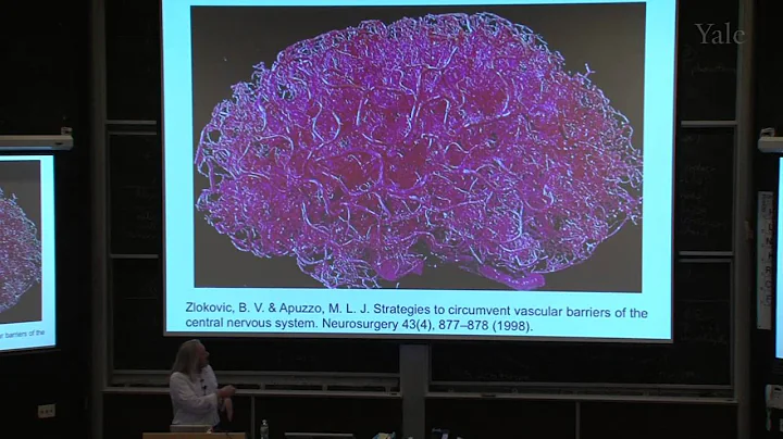 4/28/12 Mark Saltzman - Biomedical Engineering and Medicines of the Future