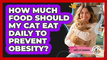 How Much Food Should My Cat Eat Daily To Prevent Obesity? - Happy Cat Handbook