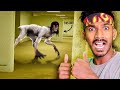 Can i escape the backrooms   tamil gameplay  sharp plays live 