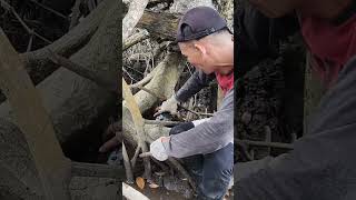 Kepiting Bakau Jumbo Berat 2 Kg Seharga 700 Ribu.