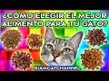 ¿Cómo Elegir El Alimento Para Tu Gato? (El Más Completo y Balanceado) - SiamCatChannel