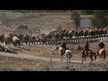 Yellowstone bison hazing