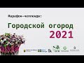 О сохранении семян. Марис Мар. Городской огород 2021.