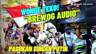 Yang Ditunggu BREWOG AUDIO Bawa Pasukan SINGAN PUTIH Karnaval Ngampelrejo Tuban