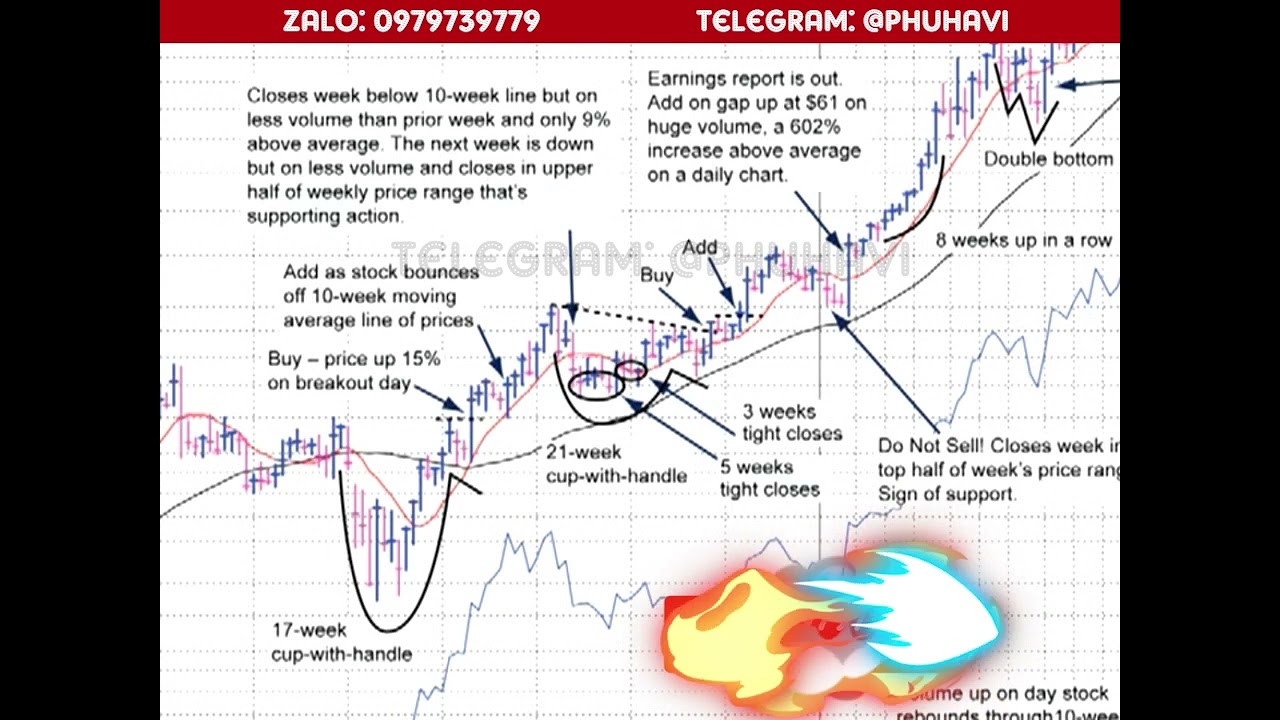 Outline Video IBD LV8 0106 MODEL STOCK ANALYSIS