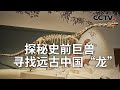 《解码科技史》 20240206 探秘史前巨兽——寻找远古中国“龙”|CCTV科教