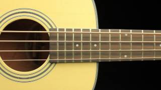 timberidge -tr series- acoustic bass traveller guitar