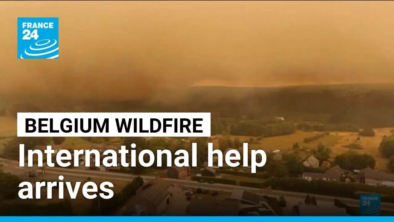 International help arrives as wildfires rage across Belgium • FRANCE 24 English