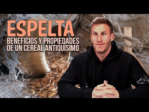 ESPELTA: BENEFICIOS Y PROPIEDADES DE UN CEREAL ANTIQUÍSIMO. JOSE BLESA. NUTRICIONISTA DEPORTIVO.