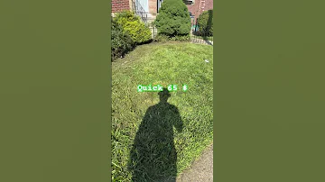 How Much Would You Pay To Cut These Yards Jwtg2050 