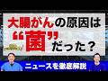 衝撃 大腸がんの5割に 腸内細菌のある毒素 が関与 最新ニュースを解説 No 532 衝撃 大腸がんの5割に 腸内細菌のある毒素 が関与 最新ニュースを解説 No 532