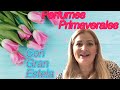 Top 6 Perfumes para Primaverales con gran estela