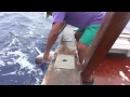 Pêche aux gros - Tahiti -  baleines et  thon au rendez-vous