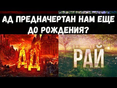 Бейне: Артқы жағында жүретін тракторға арналған тырма (22 фото): чех теберлерінің ерекшеліктері. Неге олар шөп жинамайды? Крест пен белбеуді тырмау ерекшеліктері