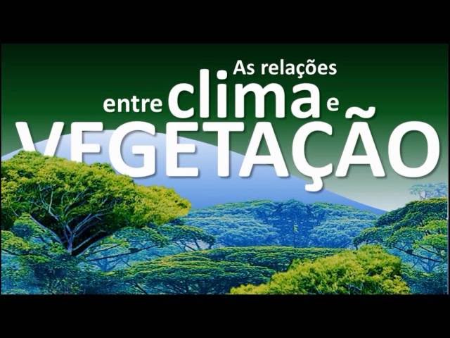 Vegetação mundial em Geografia