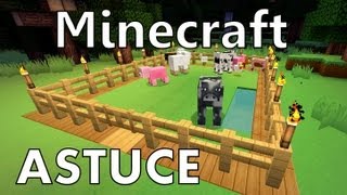 Minecraft : Comment faire de l'Elevage