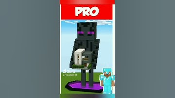 Minecraft NOOB vs PRO vs HACKER: ENDERMAN STATUE HOUSE BUILD CHALLENGE in Minecraft / Animation