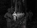 “They Said Black Soldiers Couldn’t Fly So They Proved Them Wrong 😳” (Operation Firefly) #history