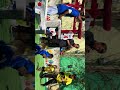 Japanese monkeys play football