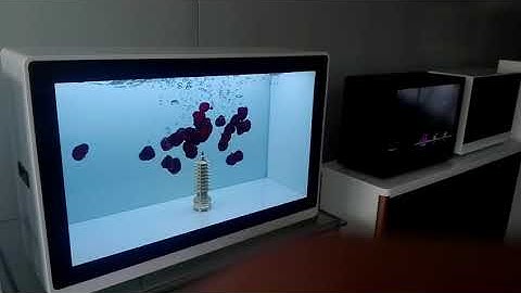 Transparent LCD  Screen Video 1