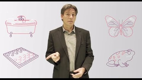 MOOC “Thinking complexity” trailer