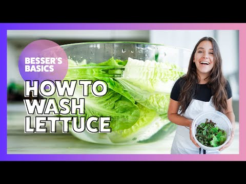 How to Wash Lettuce | Besser&rsquo;s Basics | Elena Besser | 2020