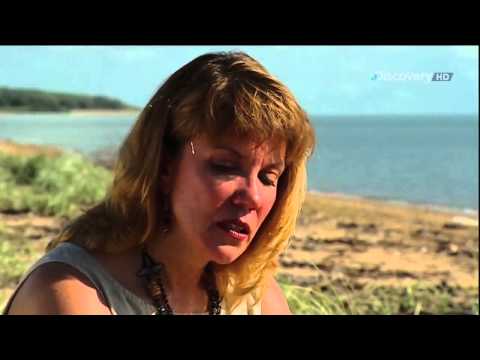 HD-Doku Tödliche Tentakel Killerquallen vor Australien Deutsch/German HD 720p