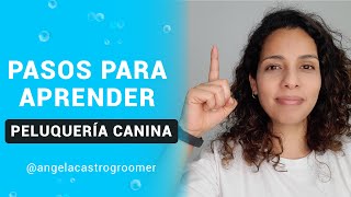 ¿Cómo empezar en la PELUQUERÍA CANINA? by Angela Castro Groomer Coach 16,888 views 3 years ago 9 minutes, 41 seconds