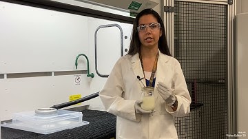 Decontamination of Milk from Aflatoxin M1 using cold plasma treatment