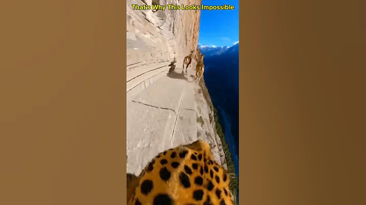 This Shouldn’t Be Possible