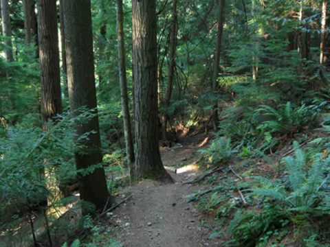 Mt Seymour peak & Lynn creek