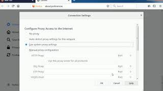 How to Setup a Proxy SOCKS 5 on Firefox screenshot 2