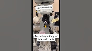 IS BEING A SCIENTIST BORING??