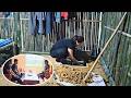 Hong dug a cellar to store important things and went with Hai to meet the landowner.