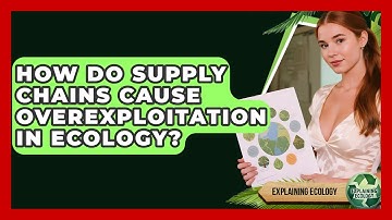How Do Supply Chains Cause Overexploitation In Ecology? - Explaining Ecology