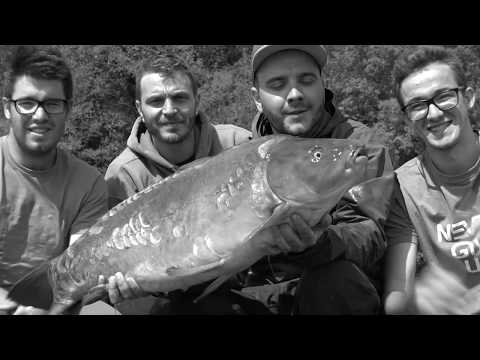 Bien aborder la carpe en lac de barrage