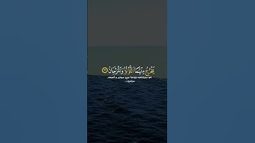 مرج البحرين يلتقيان |سورة الرحمن|ادريس ابكر