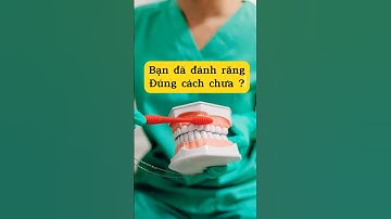 Bạn Đã Đánh Răng Đúng Cách Chưa ? #shorts #bocrangsu #xuhuong