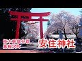 安住神社 バイク神社で安全祈願  栃木県塩谷郡高根沢町