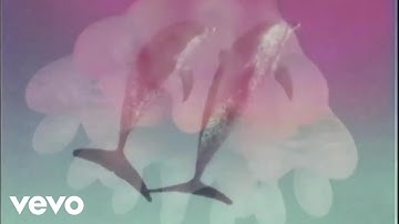 Dren McDonald - Delphinus Bursa (Official Music Video)